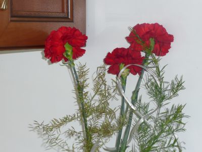 gozdziki
